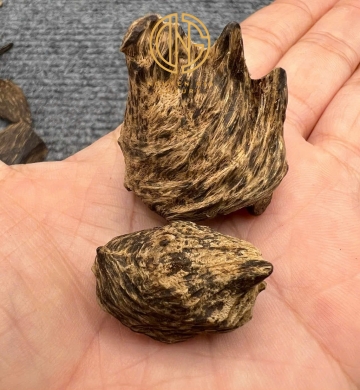 MẮC TỬ BÔNG PHI CHÌM