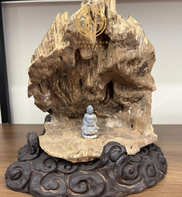 TRẦM CẢNH - MÃ 7
