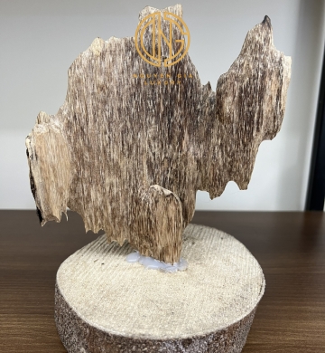 TRẦM CẢNH - MÃ 10