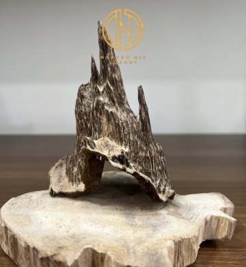 TRẦM CẢNH - MÃ 11