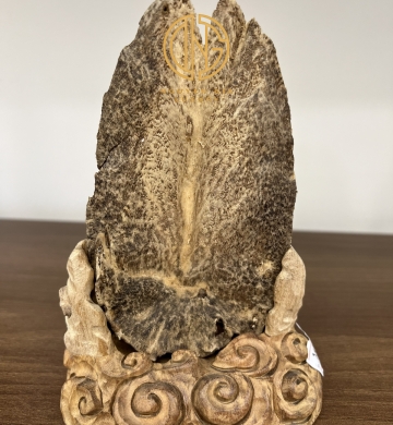 TRẦM CẢNH - MÃ 13