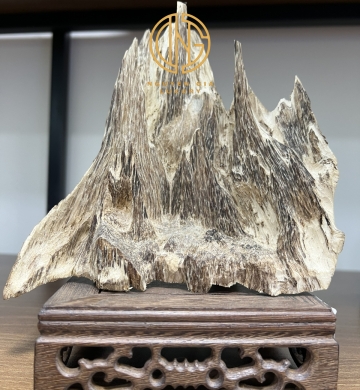 TRẦM CẢNH - MÃ 14