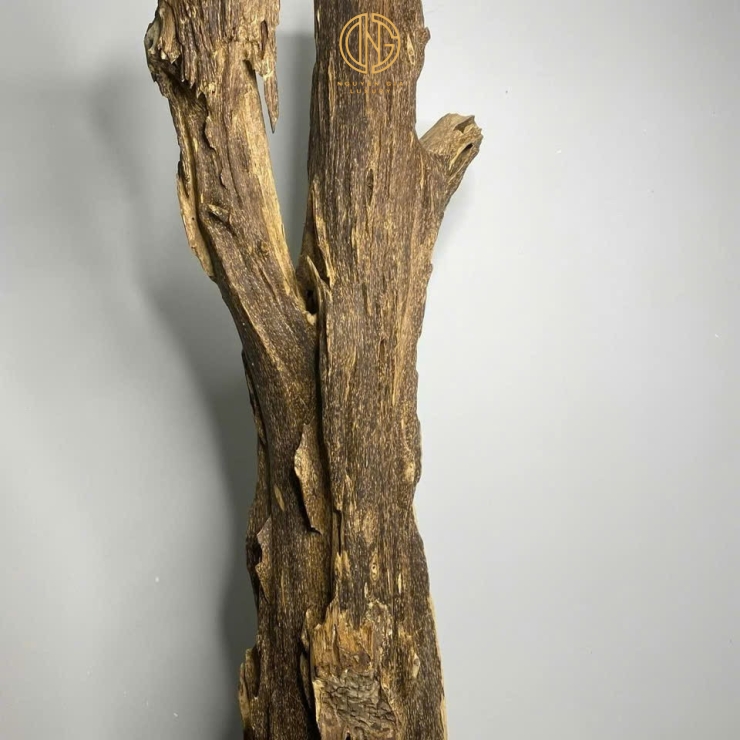 TRẦM CẢNH - MÃ 2
