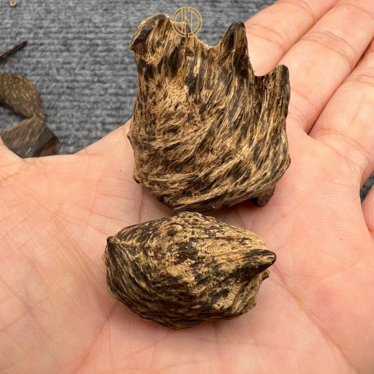 MẮC TỬ BÔNG PHI CHÌM