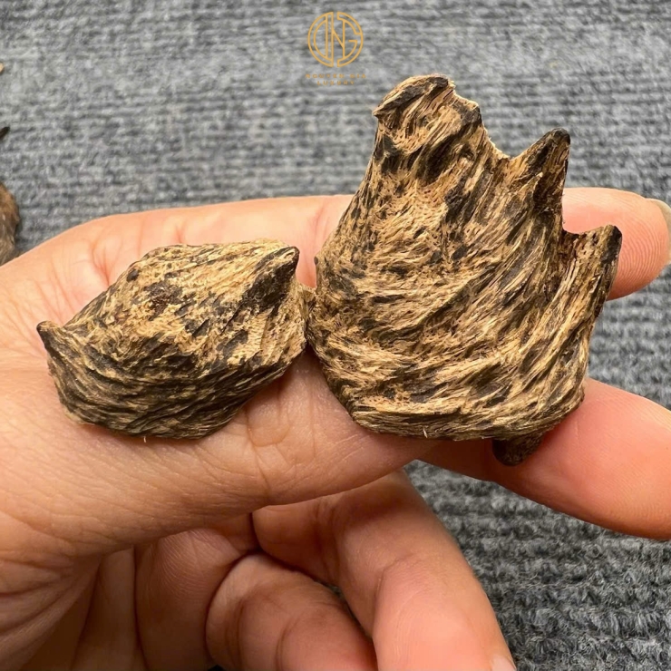 MẮC TỬ BÔNG PHI CHÌM