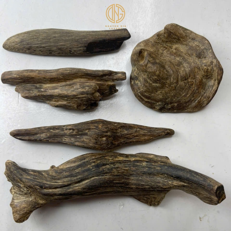 TRẦM MIẾNG HÀNG NƯỚC NGOÀI