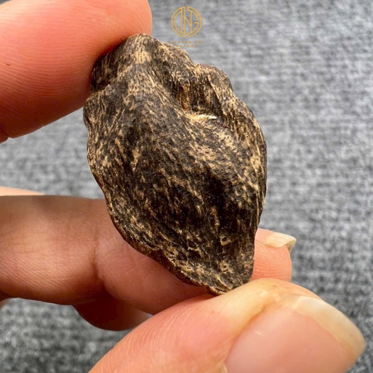 MẮC TỬ CHÌM SỚ 