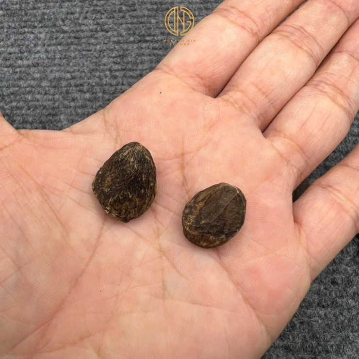 MẮC TỬ CHÌM LÀM NHẪN