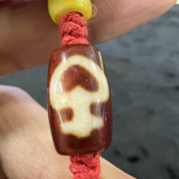 VÒNG DZI BẢO BÌNH