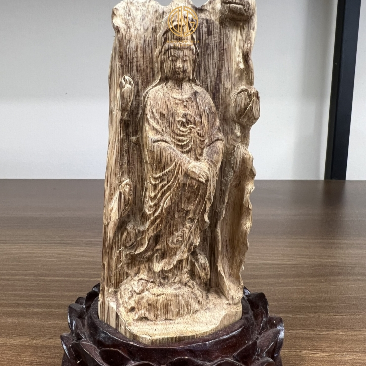 TRẦM CẢNH - MÃ 5