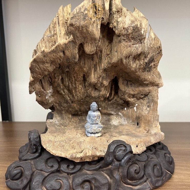 TRẦM CẢNH - MÃ 7
