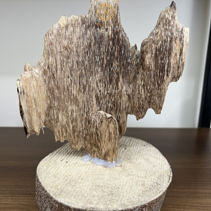 TRẦM CẢNH - MÃ 10
