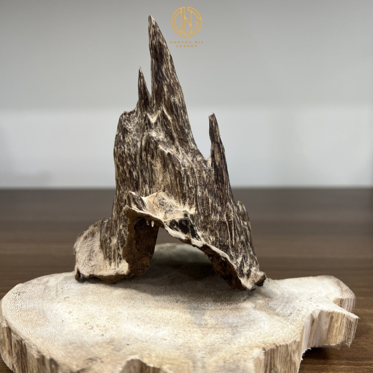 TRẦM CẢNH - MÃ 11