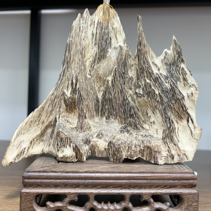 TRẦM CẢNH - MÃ 14